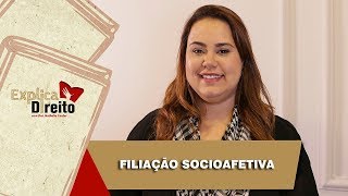 Explica Direito Filiação Socioafetiva  2019 [upl. by Dranyam]